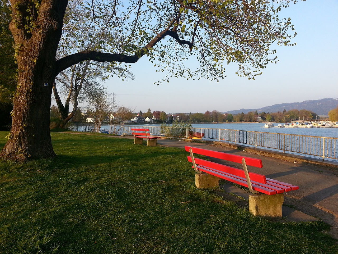 而面对强敌 而面对强敌