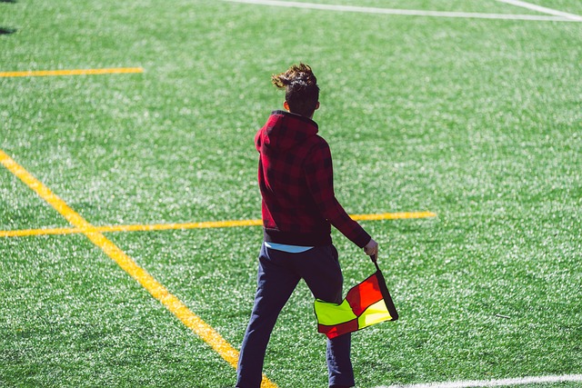 他们共同的 他们共同的