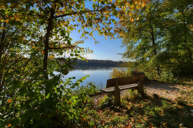 中國乒乓隊 中國乒乓隊