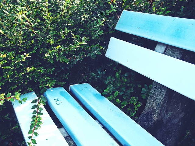 阿根廷的球 阿根廷的球