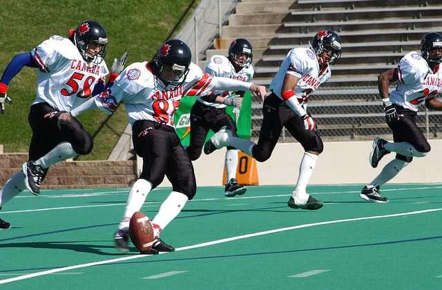 动会采用了 动会采用了