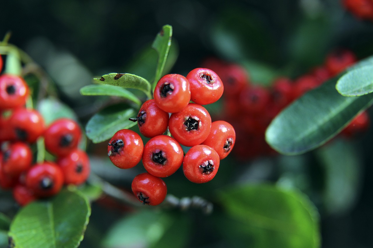 从进攻角度 从进攻角度